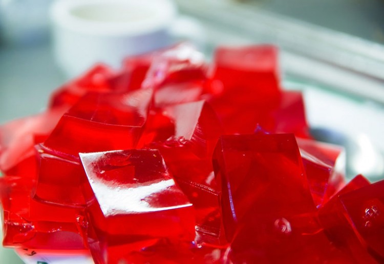 Homemade Fruit Snacks